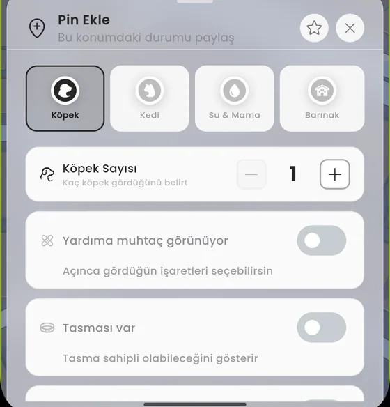 Pin Ekle sayfası: dört tür ve türe göre açılan alanlar